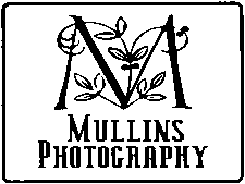 Mullins Photography